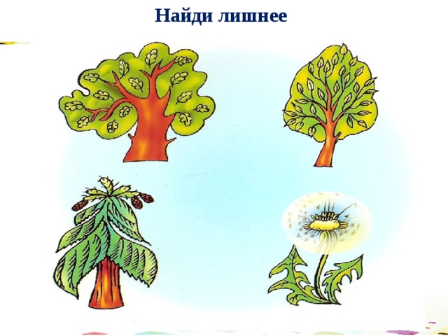 Найди лишнее 