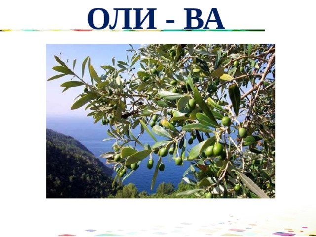 ОЛИ - ВА 