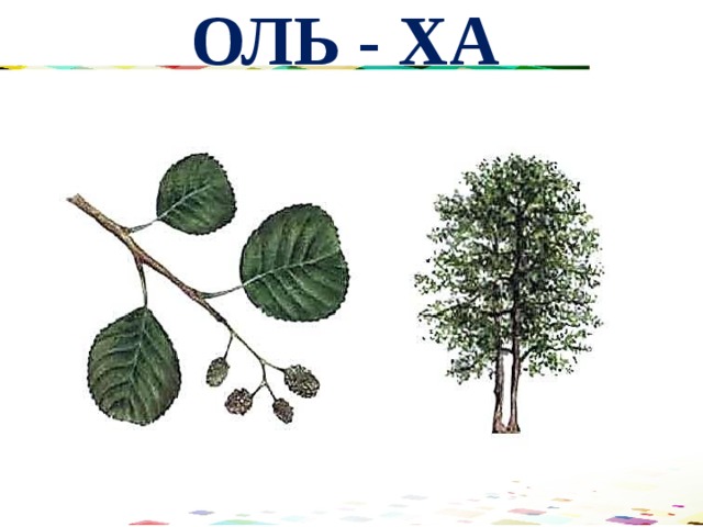 ОЛЬ - ХА 