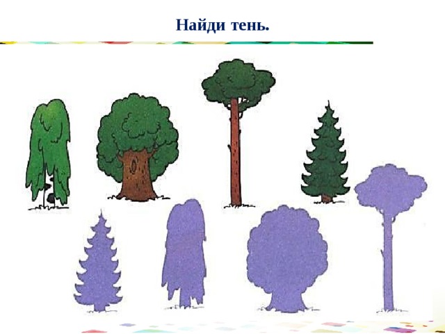 Найди тень. 