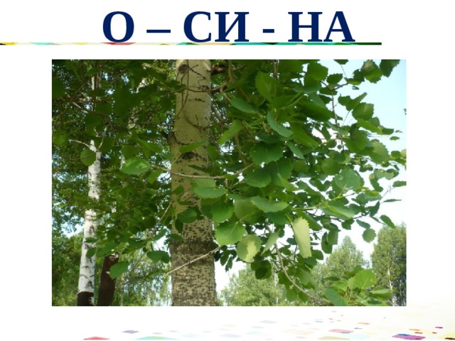 О – СИ - НА 