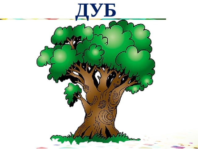 ДУБ 