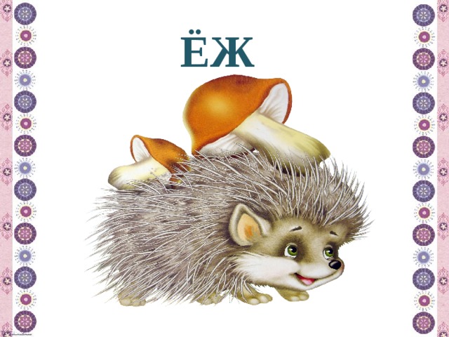 ЁЖ 