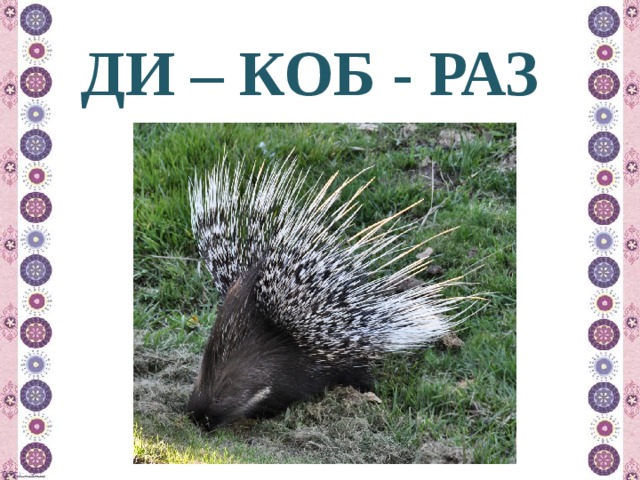 ДИ – КОБ - РАЗ 