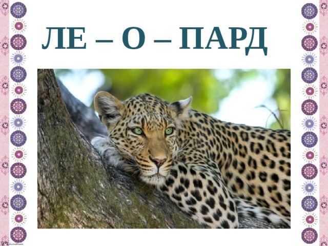 ЛЕ – О – ПАРД 