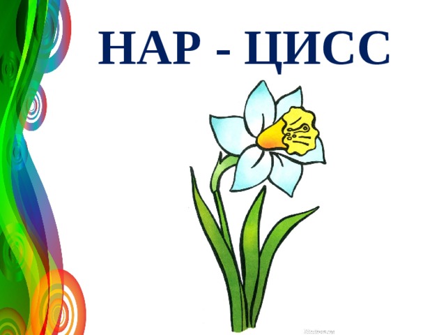 НАР - ЦИСС 