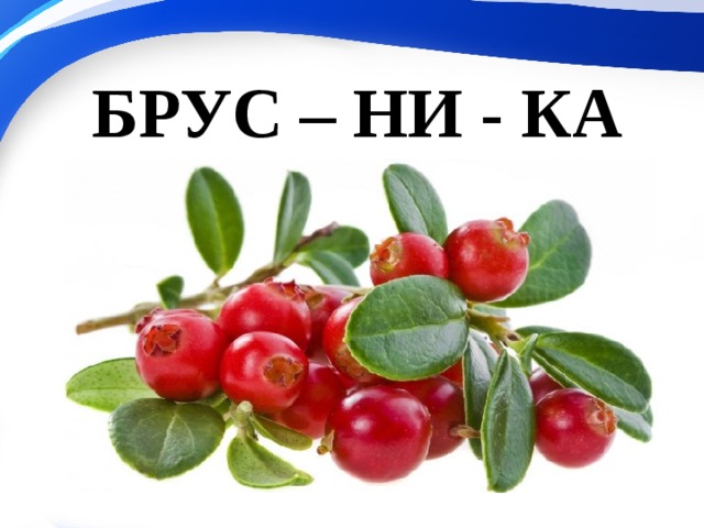 БРУС – НИ - КА 