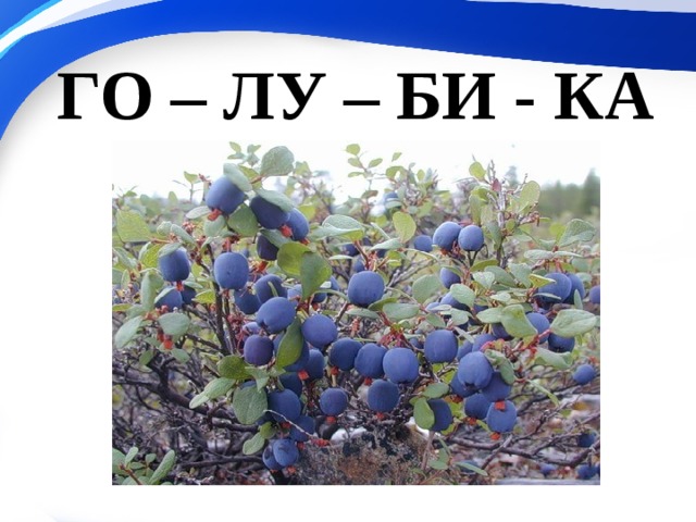 ГО – ЛУ – БИ - КА 