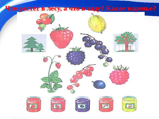 Что растёт в лесу, а что в саду? Какое варенье? 