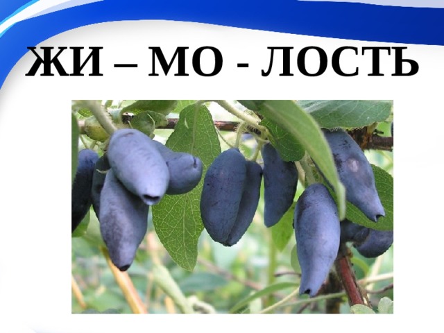 ЖИ – МО - ЛОСТЬ 