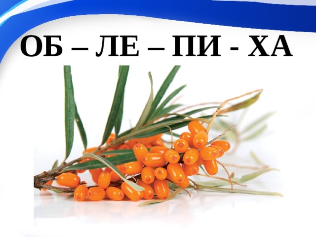 ОБ – ЛЕ – ПИ - ХА 