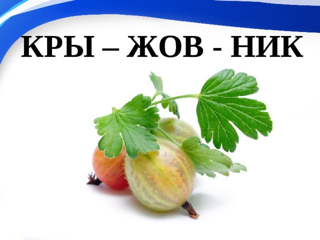 КРЫ – ЖОВ - НИК 