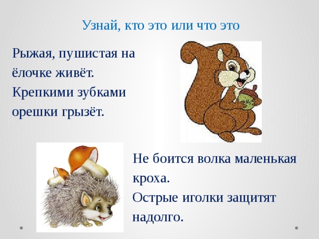 Узнай, кто это или что это Рыжая, пушистая на ёлочке живёт.  Крепкими зубками орешки грызёт. Не боится волка маленькая кроха.  Острые иголки защитят надолго. 