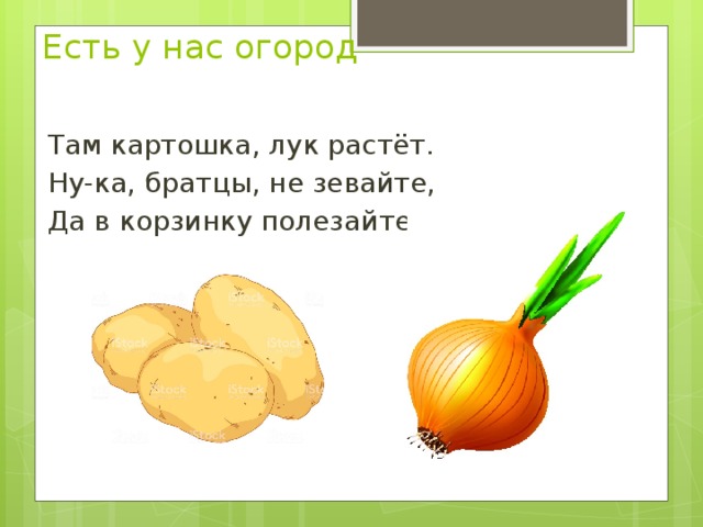 Есть у нас огород