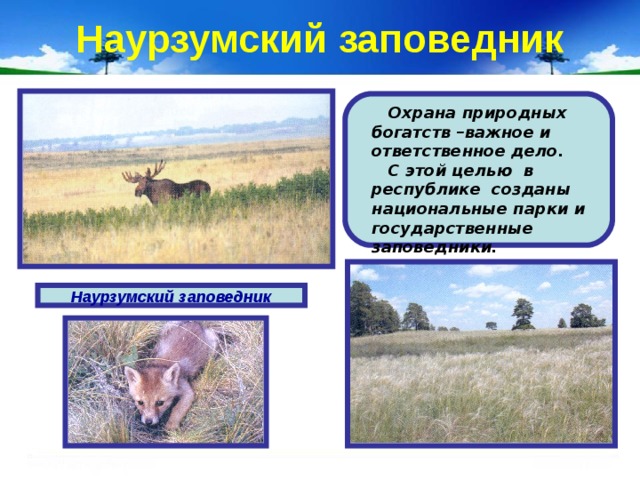 Наурзумский заповедник презентация