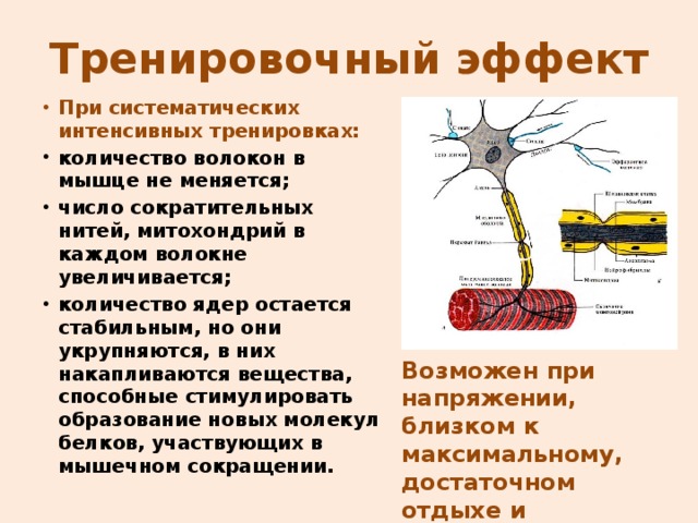 Отставленный тренировочный эффект рисунок