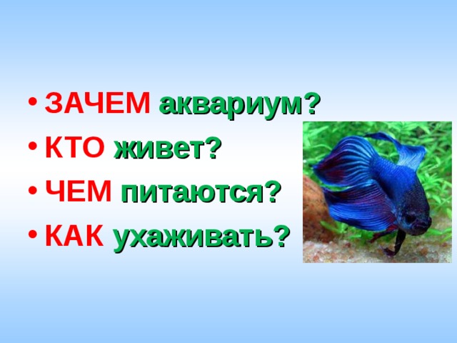 ЗАЧЕМ  аквариум? КТО  живет? ЧЕМ  питаются? КАК  ухаживать?  