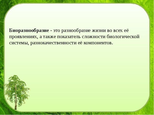 Разнообразие это. Разнообразие жизни во всех её проявлениях. Сохранение биологического разнообразия стихотворение. Разнообразие жизни во всех её проявлениях называется. Биоразнообразие разнообразие во всех ее проявлениях.