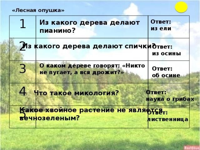 «Лесная опушка»   1  2   3   4    5    Ответ: Из какого дерева делают пианино? из ели Из какого дерева делают спички? Ответ: из осины О каком дереве говорят: «Никто не пугает, а вся дрожит?» Ответ: об осине Что такое микология? Ответ: наука о грибах Какое хвойное растение не является вечнозеленым? Ответ: лиственница 