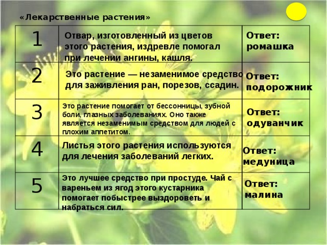 «Лекарственные растения»   1  2   3    4   5    Отвар, изготовленный из цветов этого растения, издревле помогал при лечении ангины, кашля. Ответ: ромашка Это растение — незаменимое средство для заживления ран, порезов, ссадин. Ответ: подорожник Это растение помогает от бессонницы, зубной боли, глазных заболеваниях. Оно также является незаменимым средством для людей с плохим аппетитом. Ответ: одуванчик Листья этого растения используются для лечения заболеваний легких. Ответ: медуница Это лучшее средство при простуде. Чай с вареньем из ягод этого кустарника помогает побыстрее выздороветь и набраться сил. Ответ: малина 