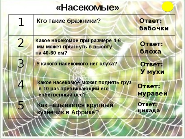 «Насекомые» 1  2   3    4  5     Кто такие бражники? Ответ: бабочки Какое насекомое при размере 4-6  мм может прыгнуть в высоту на 40-60 см? Ответ: блоха У какого насекомого нет слуха? Ответ: У мухи Какое насекомое может поднять груз  в 10 раз превышающий его  собственный вес? Ответ: муравей Как называется крупный Ответ: кузнечик в Африке? цикада 