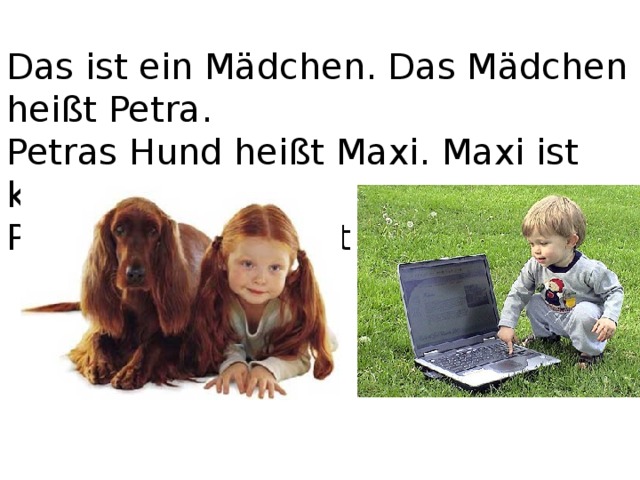 Das ist ein Mädchen. Das Mädchen heißt Petra.  Petras Hund heißt Maxi. Maxi ist klug.  Petras Bruder heißt Uli. 