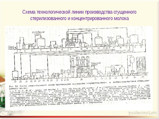 Схема технологического процесса производства молока стерилизованного молока