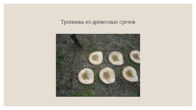 Тропинка из древесных срезов 