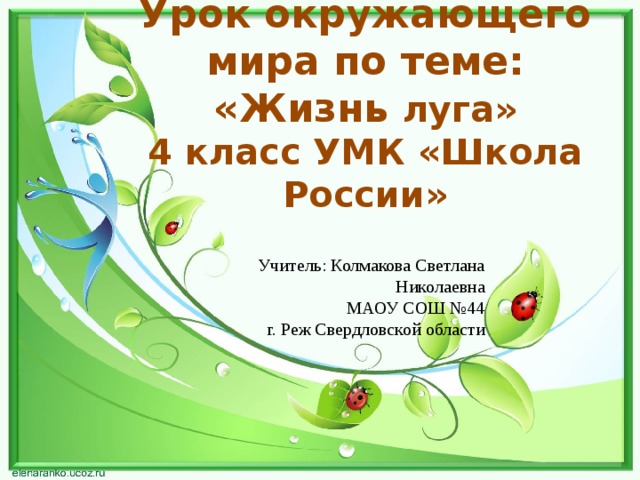 Тест по окружающему миру жизнь луга. Жизнь Луга 4 класс окружающий мир школа России. Урок окружающий мир 4 класс тема жизнь Луга. Презентация по окружающему миру 4 класс жизнь Луга школа России. Тесты по окружающему миру тема урока жизнь Луга.