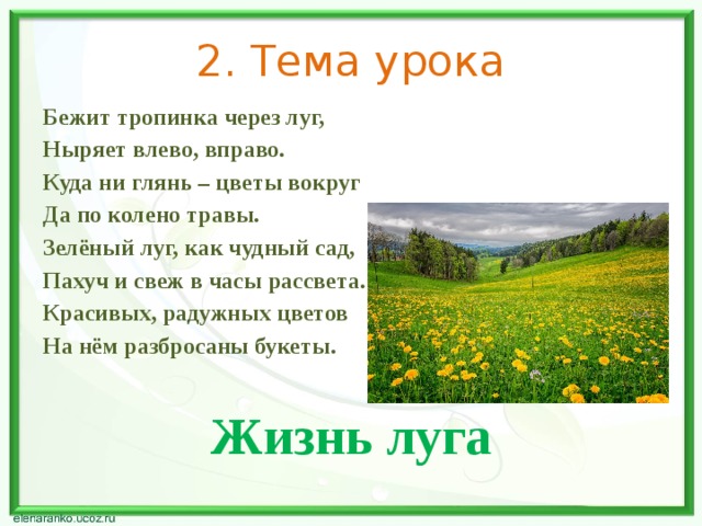 Презентация луга 4 класс