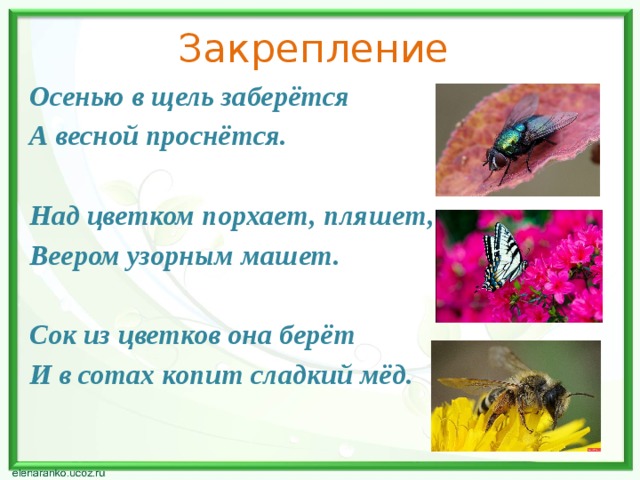 Жизнь луга 4 класс тест. Осенью в щель ЗАБЕРЕТСЯ А весной проснется. Загадки поздней осенью в щель заберётся. А ранней весной проснётся. Осенью в щель ЗАБЕРЕТСЯ А весной проснется ответ загадка. Осенью в щель забьется а весной проснется что это.