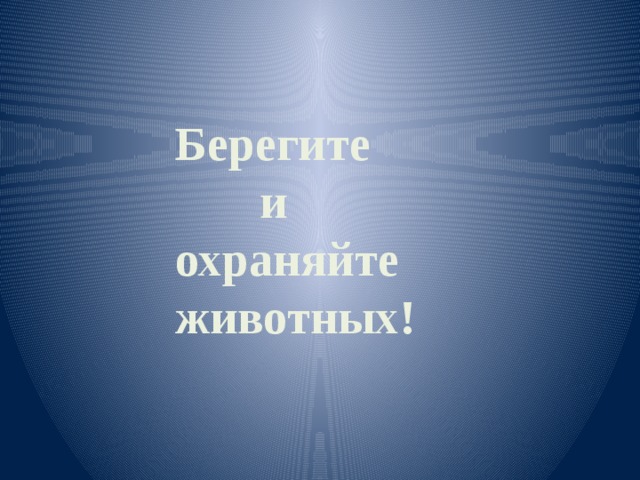 Берегите  и охраняйте животных!