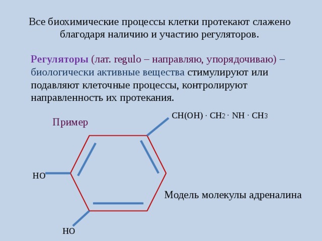 Регуляторы биомолекулярных процессов 11 класс презентация