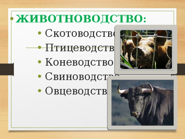 ЖИВОТНОВОДСТВО:  Скотоводство  Птицеводство  Коневодство  Свиноводство  Овцеводство  Скотоводство  Птицеводство  Коневодство  Свиноводство  Овцеводство  Скотоводство  Птицеводство  Коневодство  Свиноводство  Овцеводство  Скотоводство  Птицеводство  Коневодство  Свиноводство  Овцеводство 