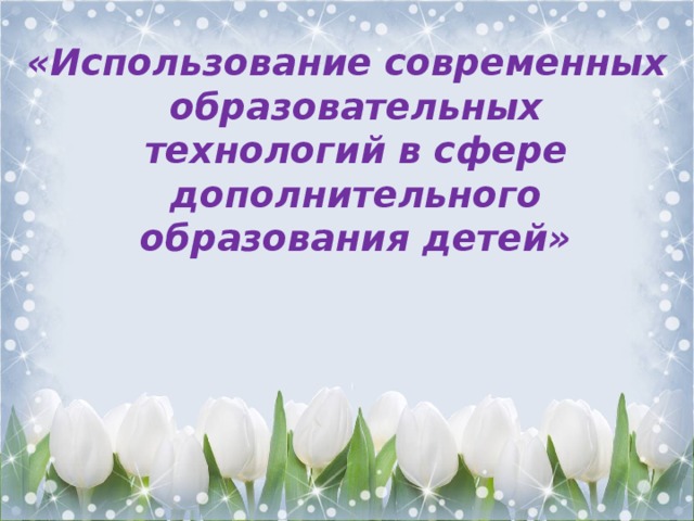  «Использование современных образовательных технологий в сфере дополнительного образования детей»  