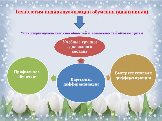 Технология индивидуального обучения индивидуальный подход индивидуализация обучения метод проектов