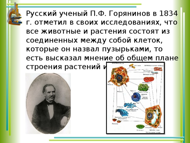 Русский ученый П.Ф. Горянинов в 1834 г. отметил в своих исследованиях, что все животные и растения состоят из соединенных между собой клеток, которые он назвал пузырьками, то есть высказал мнение об общем плане строения растений и животных. 