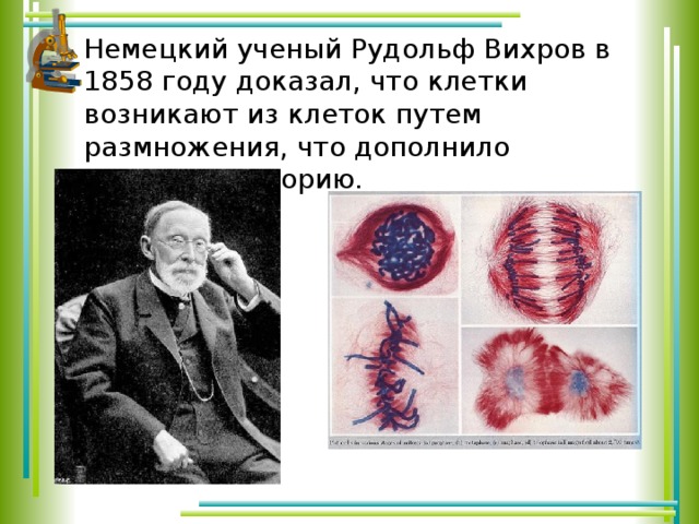Немецкий ученый Рудольф Вихров в 1858 году доказал, что клетки возникают из клеток путем размножения, что дополнило клеточную теорию. 