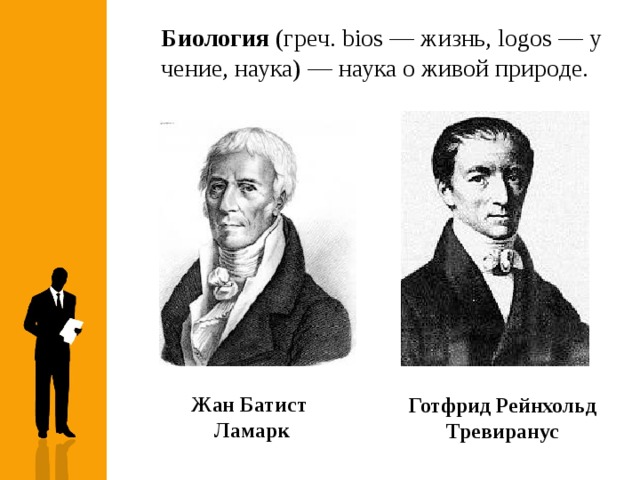 Тревиранус. Тревиранус Лудольф. Готфрид Рейнхольд Тревиранус(1776-1837. Тревиранус биология.