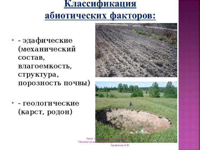 Эдафические факторы относятся. Эдафические факторы. Эдафические (почвенные, грунтовые). Эдафические факторы презентация. Эдафические факторы примеры