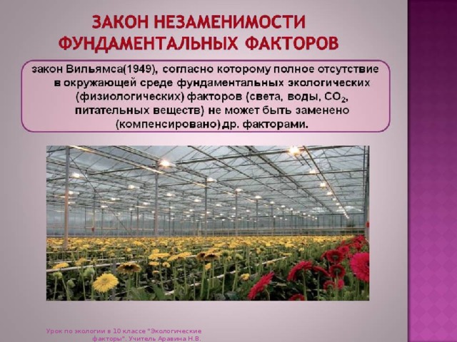 Установите соответствие закон экологии пример