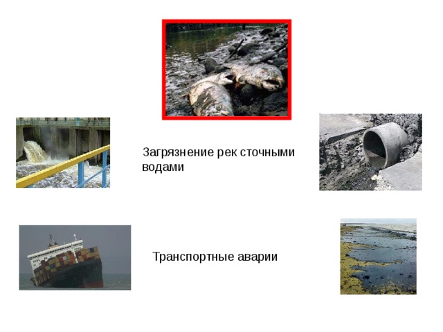 Загрязнение рек сточными водами Транспортные аварии 