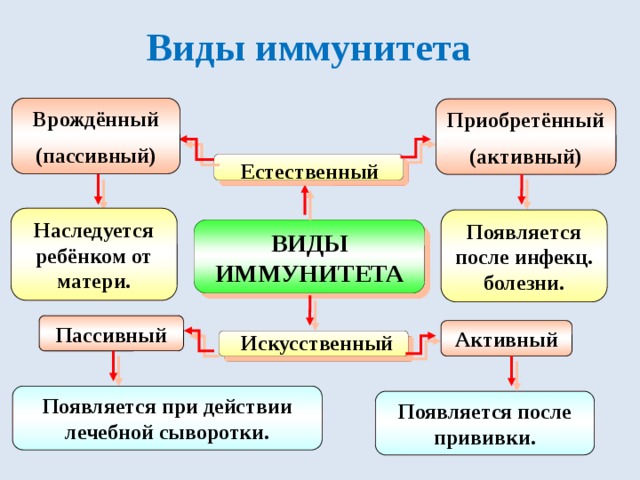 Виды иммунитета Врождённый (пассивный) Приобретённый (активный) Естественный Наследуется ребёнком от матери. Появляется после инфекц. болезни. ВИДЫ ИММУНИТЕТА Пассивный Активный Искусственный Появляется при действии лечебной сыворотки. Появляется после прививки. 