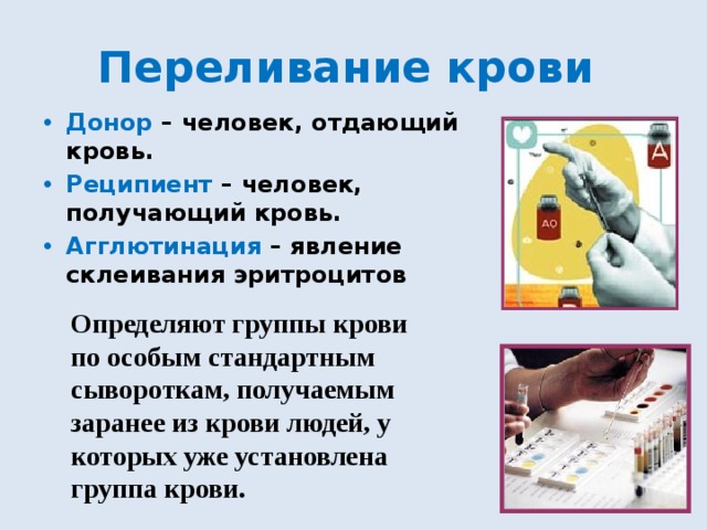 Переливание крови Донор – человек, отдающий кровь. Реципиент – человек, получающий кровь. Агглютинация – явление склеивания эритроцитов  Определяют группы крови по особым стандартным сывороткам, получаемым заранее из крови людей, у которых уже установлена группа крови. 