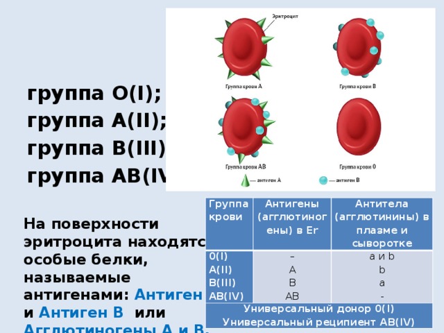 Бета плазмы. Агглютинины 2 группы крови. Группы крови таблица агглютинины и агглютиногены. Агглютинины 1 группы крови. Агглютинины в плазме крови.