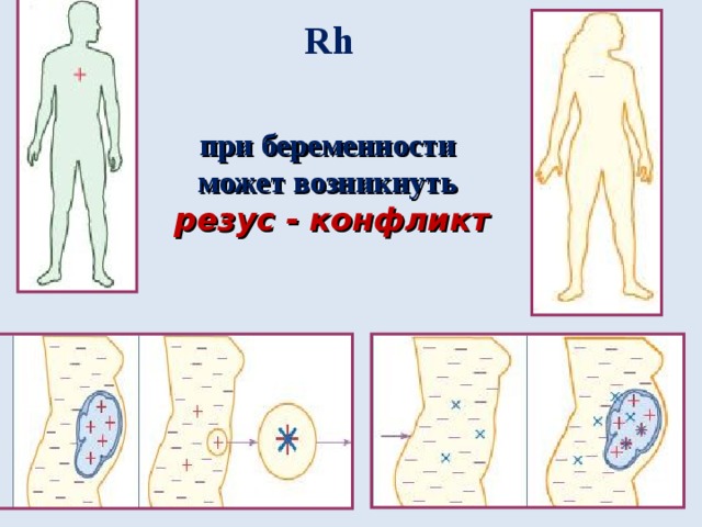 Иммунология на службе здоровья 8 класс презентация