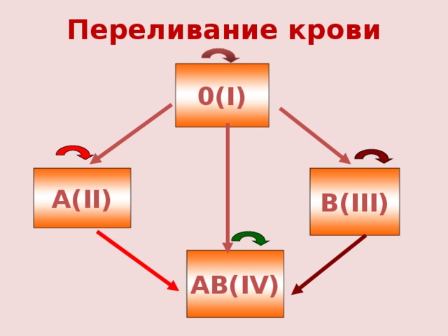 Переливание крови 0(I) А(II) В(III) АВ(IV) 