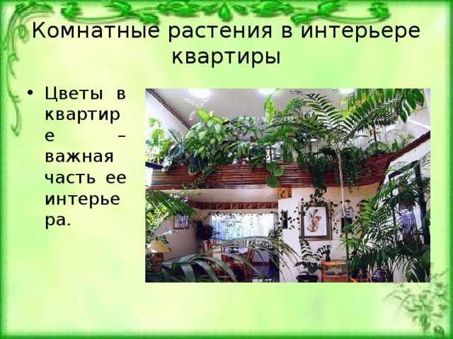 Комнатные растения в интерьере квартиры презентация