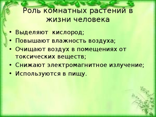 Презентация комнатные растения 3 класс