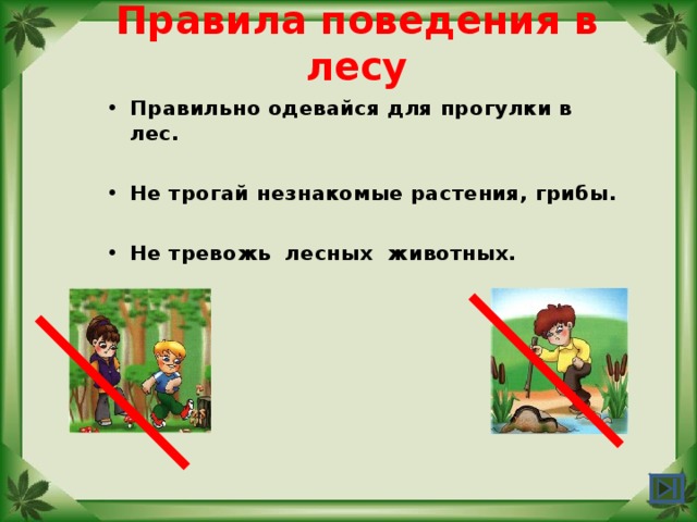 Правила поведения в лесу Правильно одевайся для прогулки в лес.  Не трогай незнакомые растения, грибы.